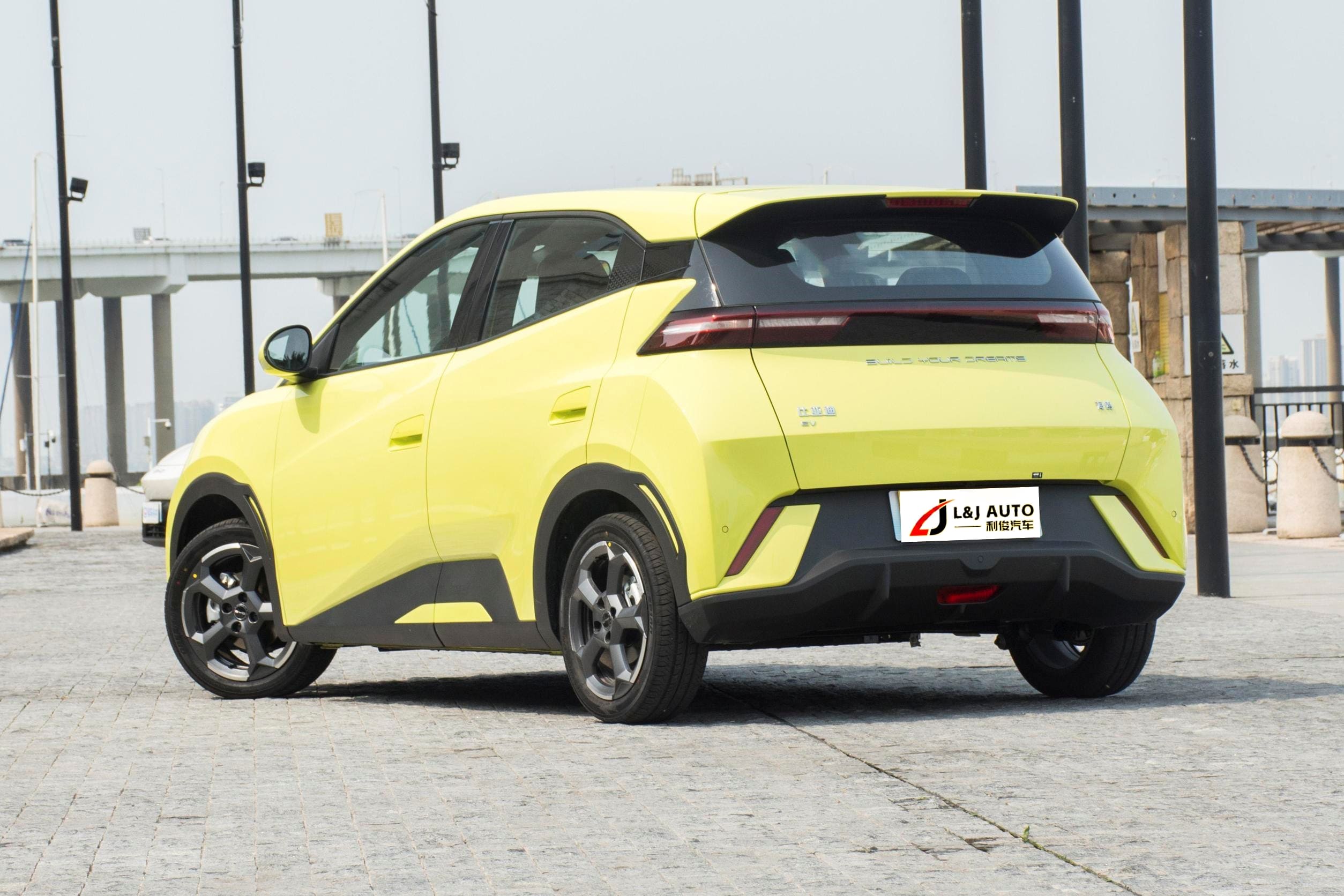 china ev